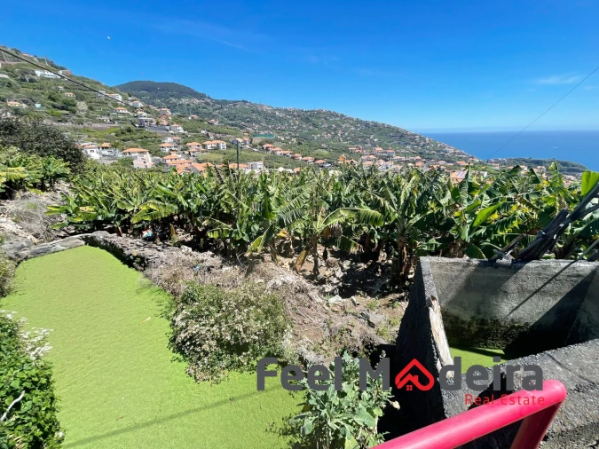 Terreno Agricola ou Rústico para Venda em Ribeira Brava Foto 5
