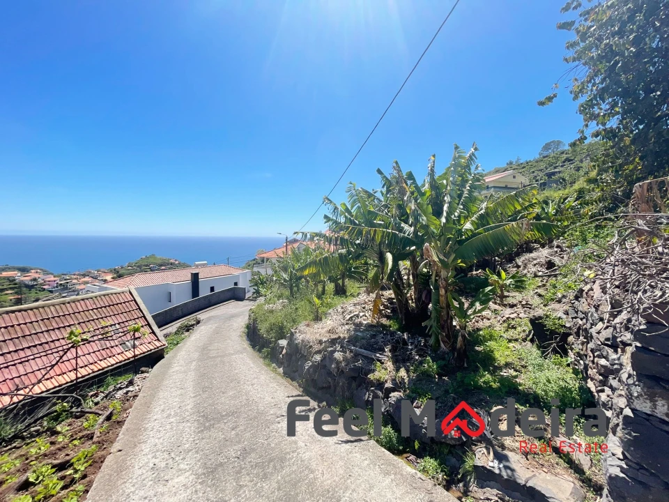 Terreno Agricola ou Rústico para Venda em Ribeira Brava Foto 2