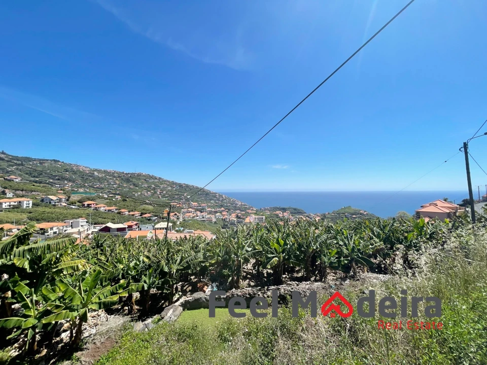 Terreno Agricola ou Rústico para Venda em Ribeira Brava Foto 4