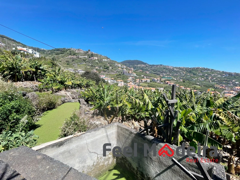 Terreno Agricola ou Rústico para Venda em Ribeira Brava Foto 7