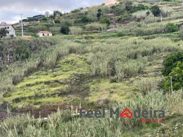 Terreno para Venda em Ribeira Brava