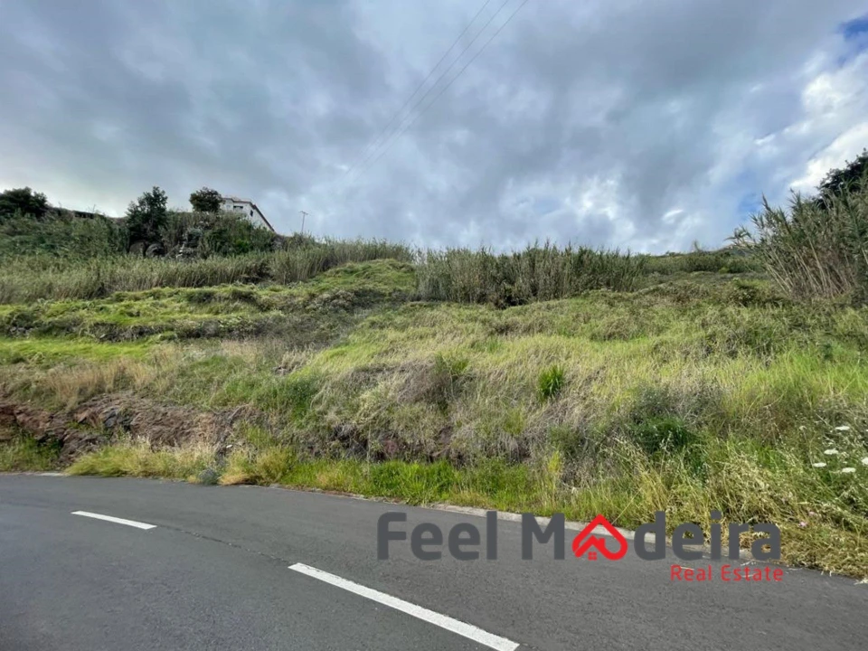 Terreno para Venda em Ribeira Brava Foto 6