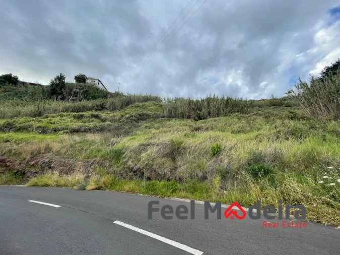 Terreno para Venda em Ribeira Brava Foto 6