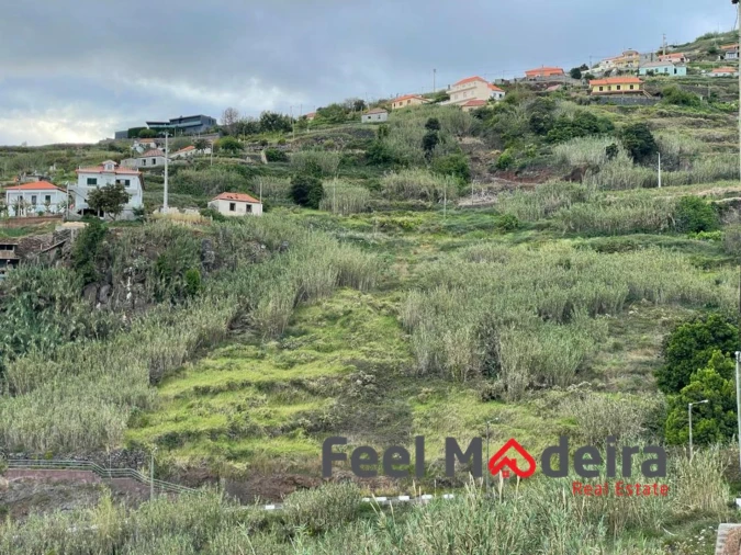 Terreno para Venda em Ribeira Brava Foto 2