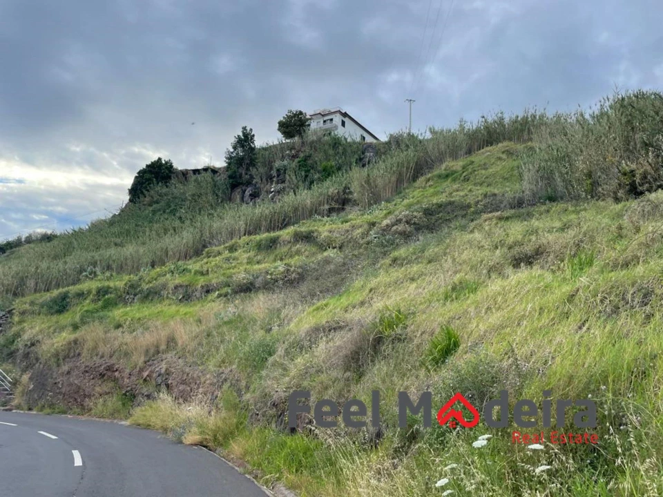 Terreno para Venda em Ribeira Brava Foto 1