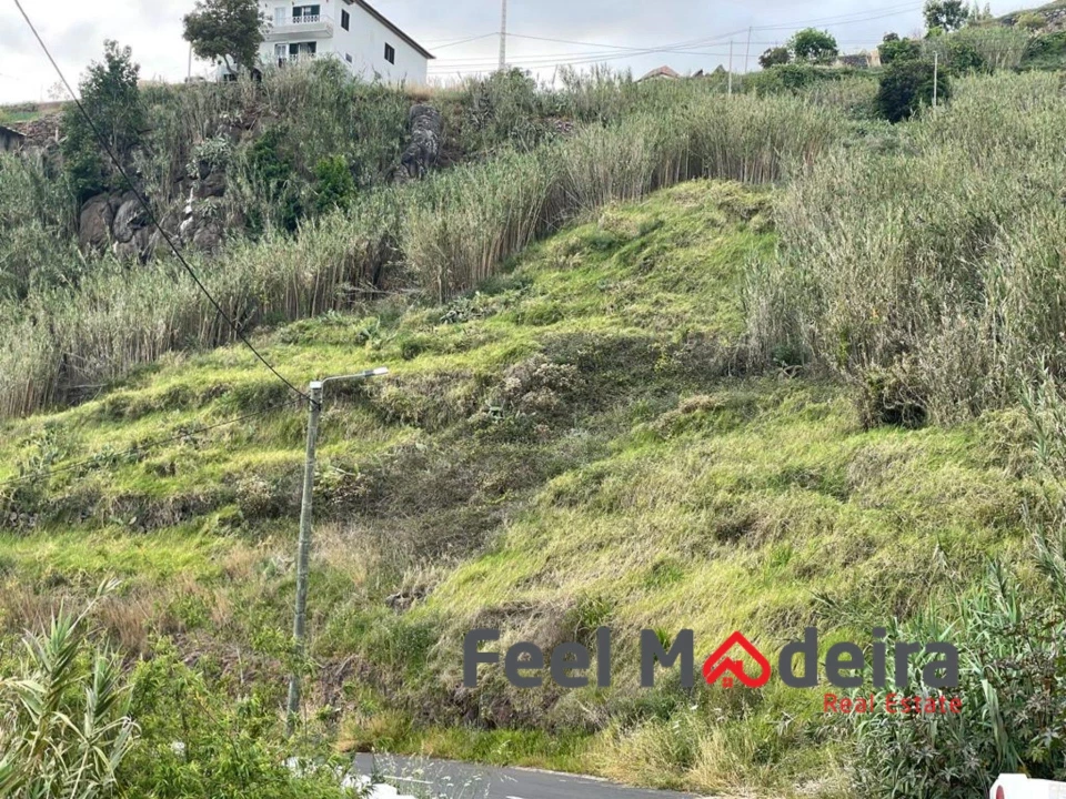 Terreno para Venda em Ribeira Brava Foto 4