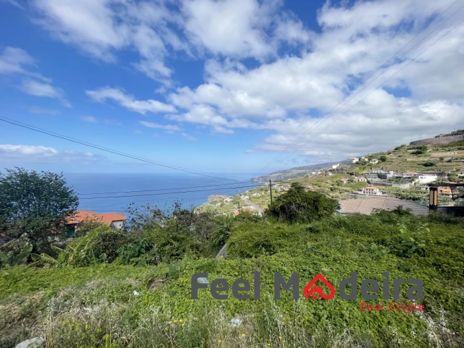 Terreno Agricola ou Rústico para Venda em Ribeira Brava Foto 4