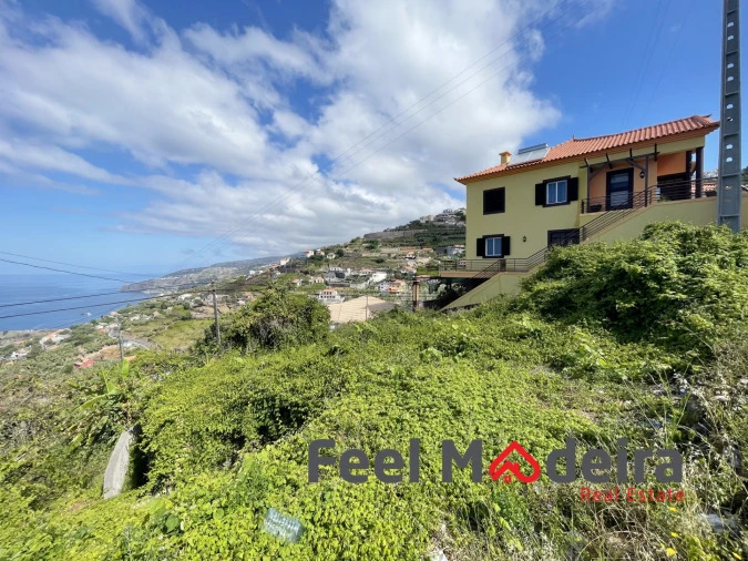 Terreno Agricola ou Rústico para Venda em Ribeira Brava Foto 3