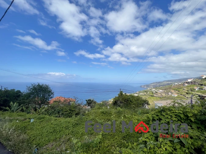 Terreno Agricola ou Rústico para Venda em Ribeira Brava