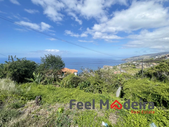 Terreno Agricola ou Rústico para Venda em Ribeira Brava Foto 2