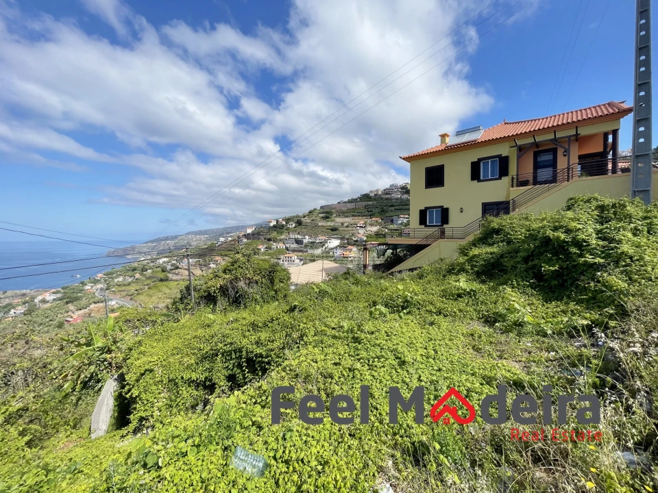 Terreno Agricola ou Rústico para Venda em Ribeira Brava Foto 3