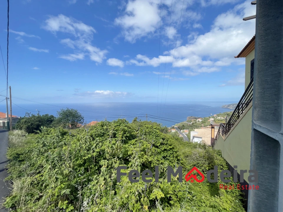 Terreno Agricola ou Rústico para Venda em Ribeira Brava Foto 6