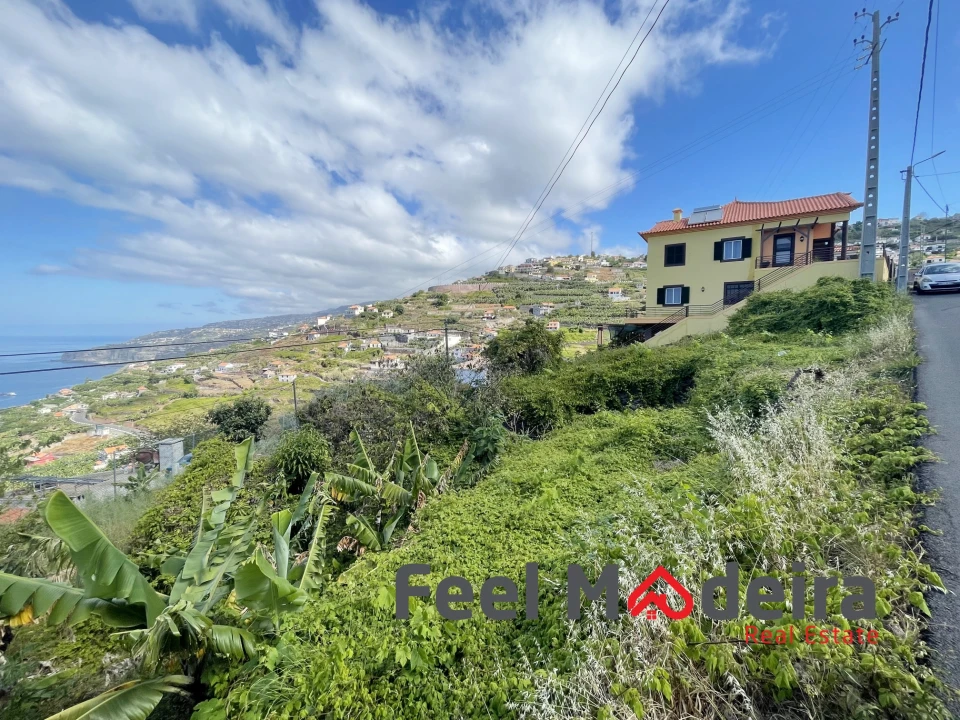 Terreno Agricola ou Rústico para Venda em Ribeira Brava Foto 5
