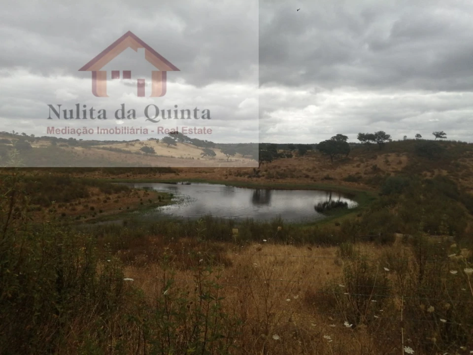 Quinta para Venda em Aldeia dos Fernandes Foto 2
