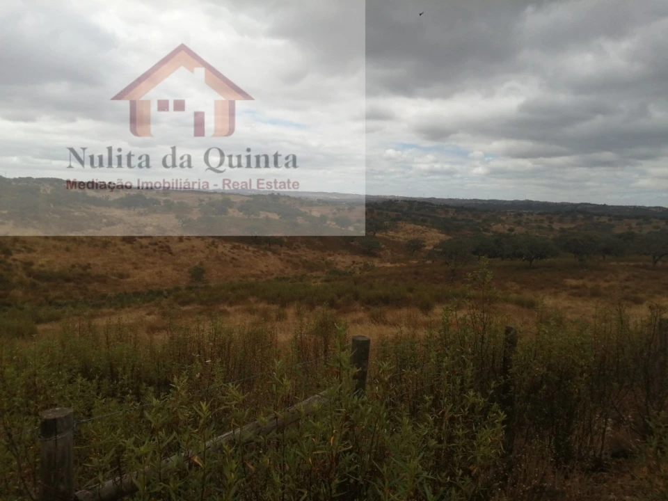 Quinta para Venda em Aldeia dos Fernandes Foto 3