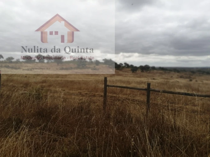 Quinta para Venda em Aldeia dos Fernandes Foto 8