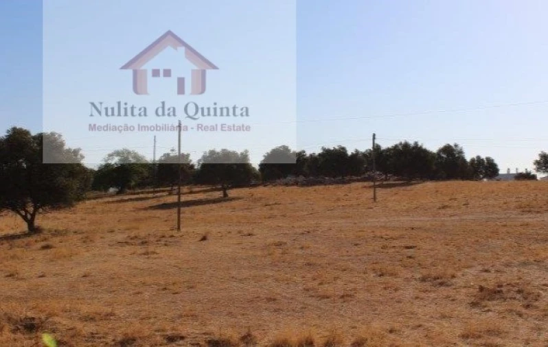 Terreno para Venda em Ferreiras