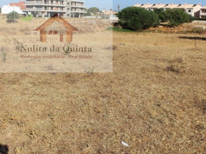 Terreno para Venda em Ferreiras Foto 3