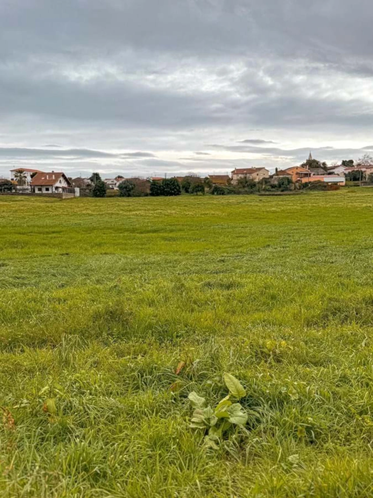 Terreno para Venda em Calvaria de Cima Foto 7