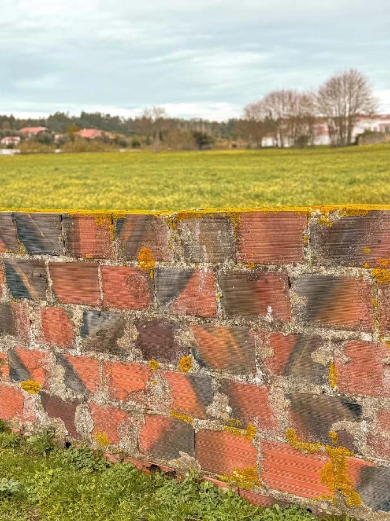 Terreno para Venda em Calvaria de Cima Foto 2