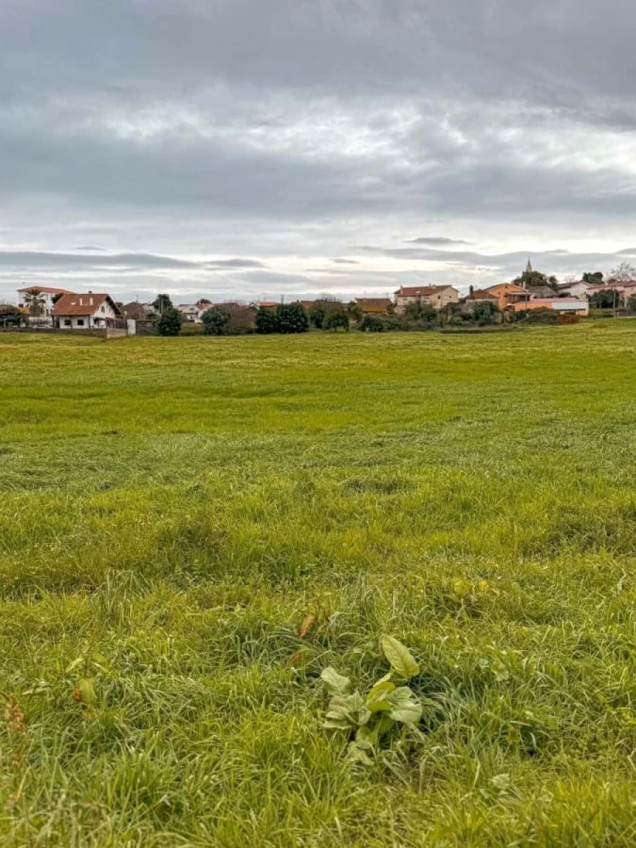 Terreno para Venda em Calvaria de Cima Foto 7