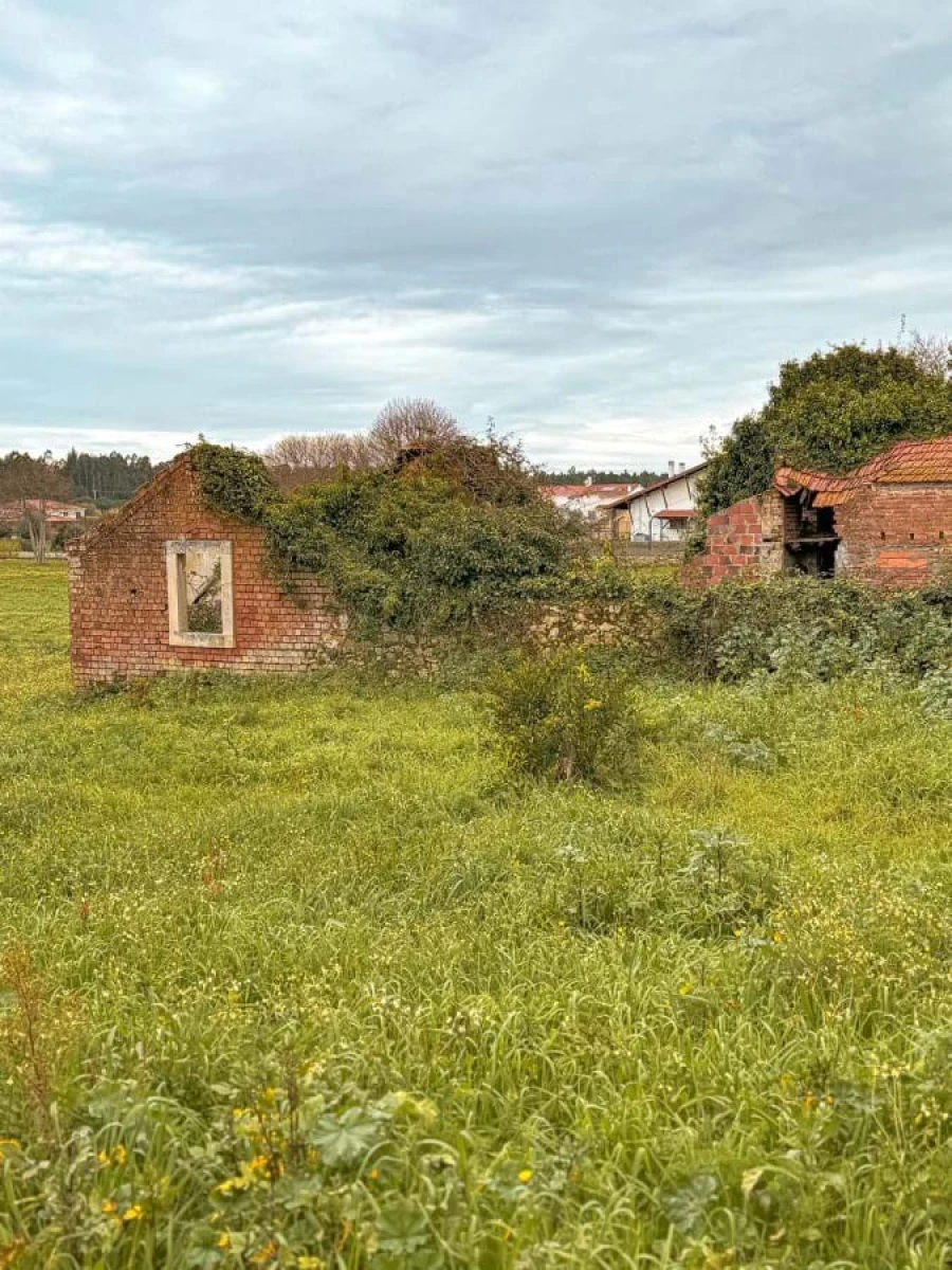 Terreno para Venda em Calvaria de Cima Foto 8
