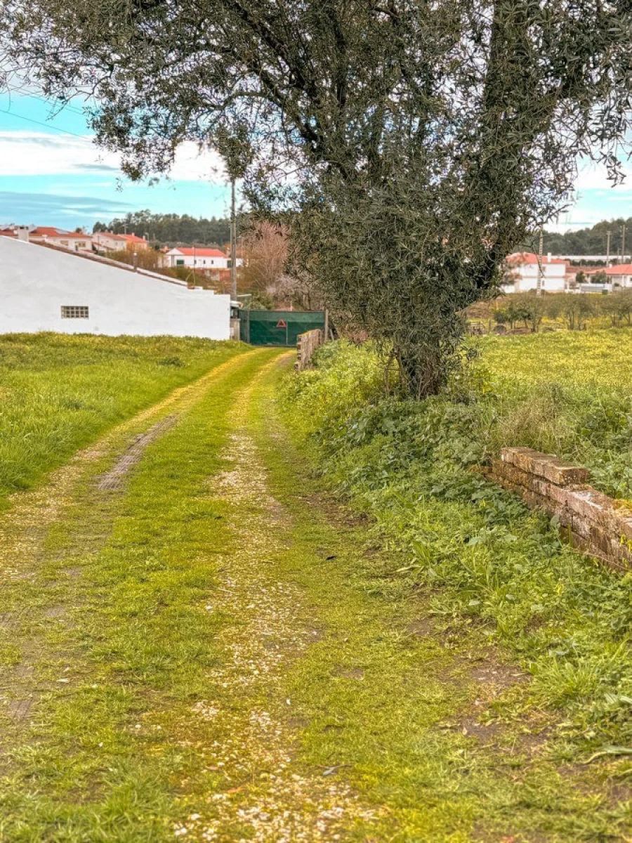 Terreno para Venda em Calvaria de Cima Foto 5
