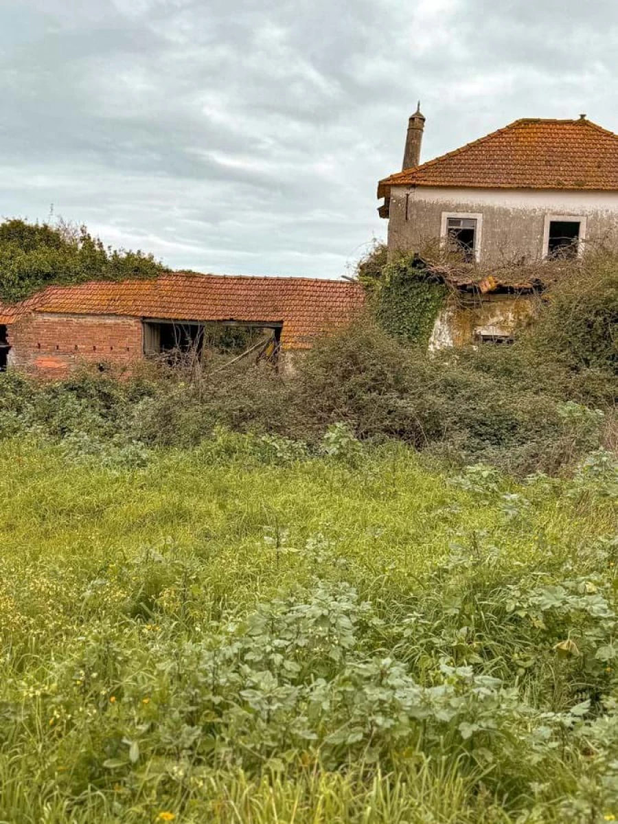 Terreno para Venda em Calvaria de Cima Foto 4