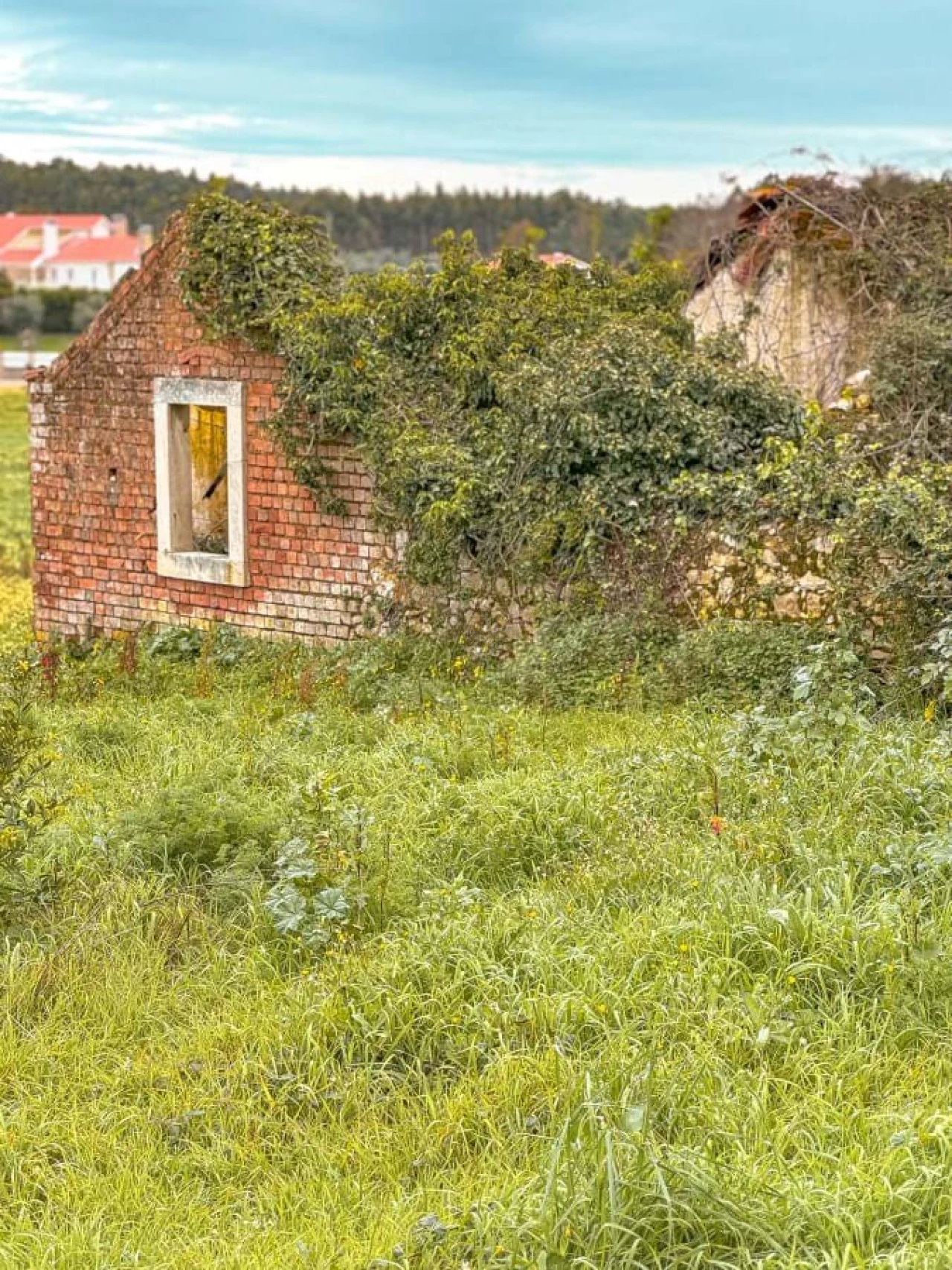Terreno para Venda em Calvaria de Cima Foto 1