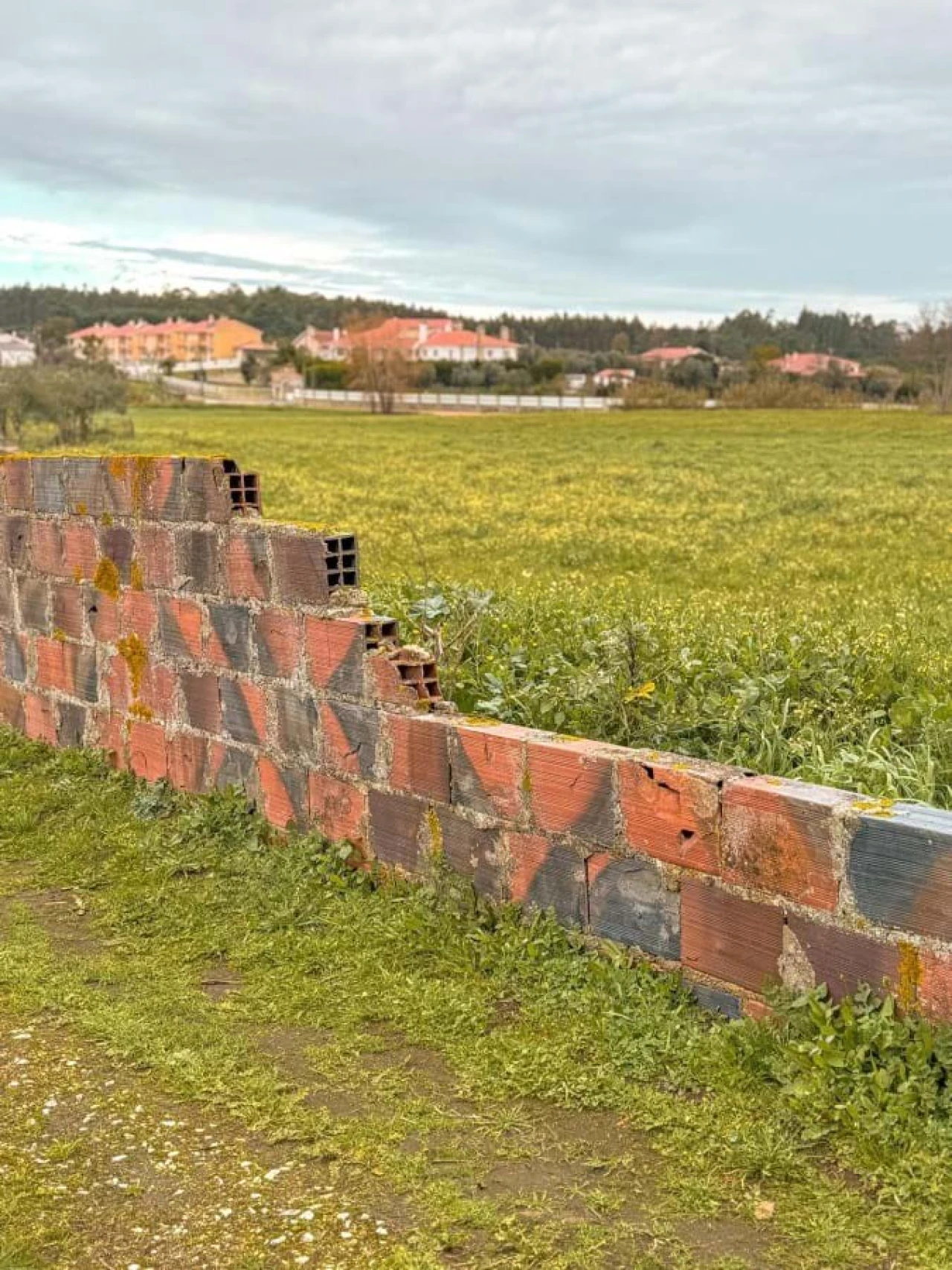 Terreno para Venda em Calvaria de Cima Foto 3