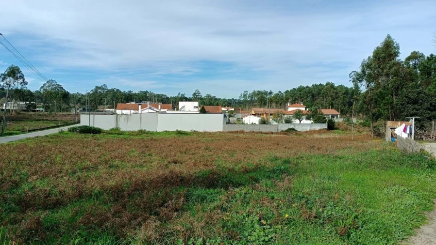 Terreno para Venda em Maceira Foto 2