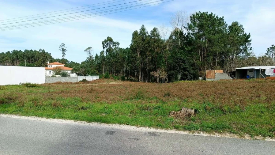 Terreno para Venda em Maceira Foto 6