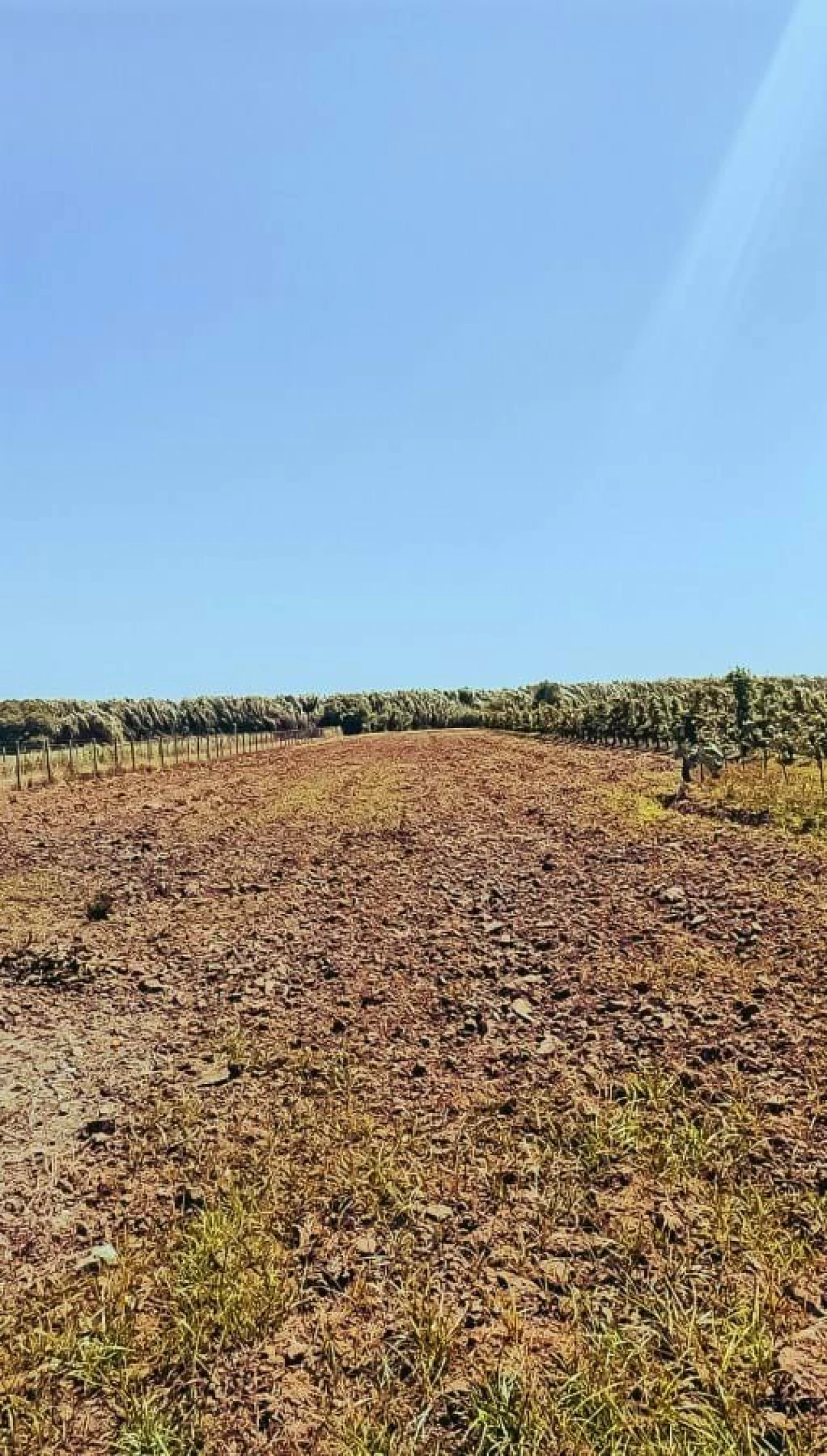 Moradia T5 para Venda em São Martinho do Porto Foto 23