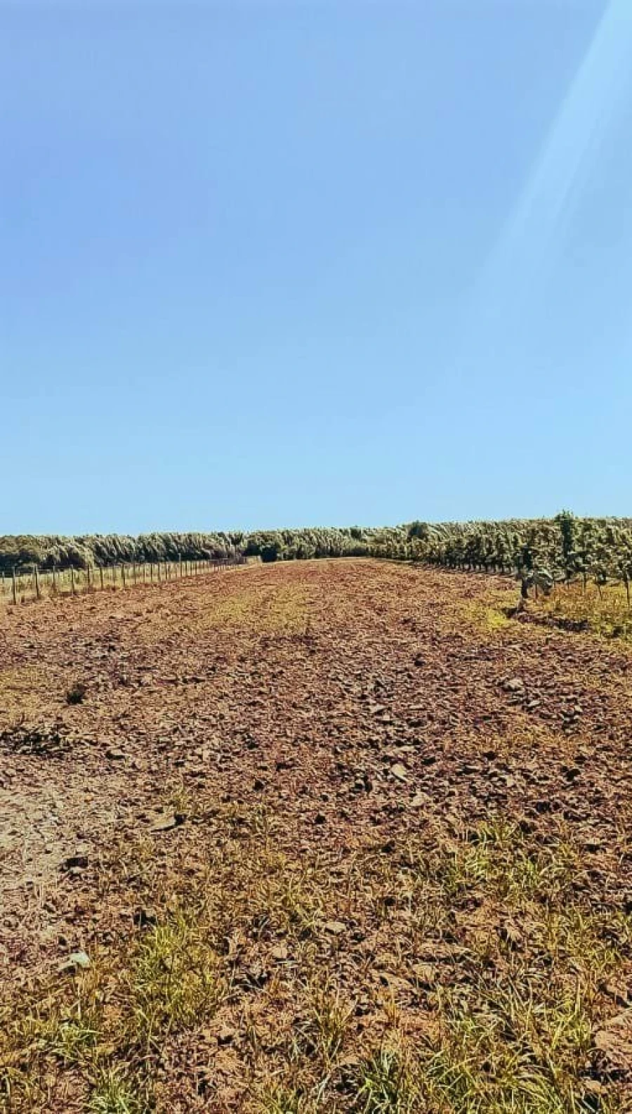 Moradia T5 para Venda em São Martinho do Porto Foto 23