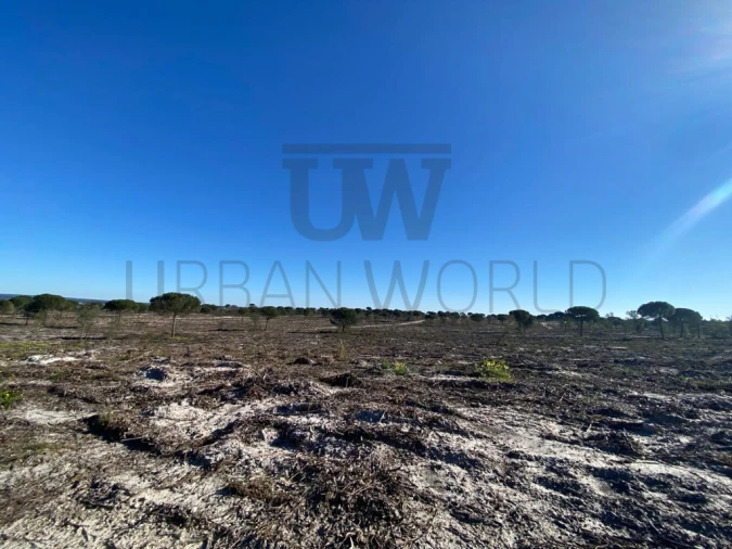 Terreno Comércio / Armazém para Venda em União das Freguesias de Setúbal Foto 17