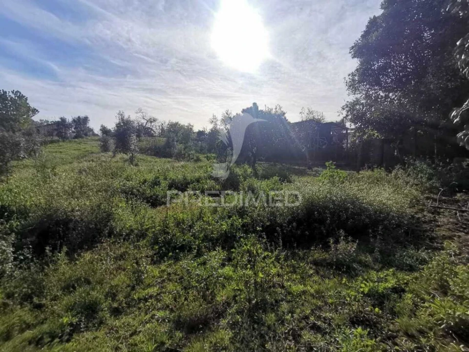 Moradia T3 para Venda em Beco Foto 15