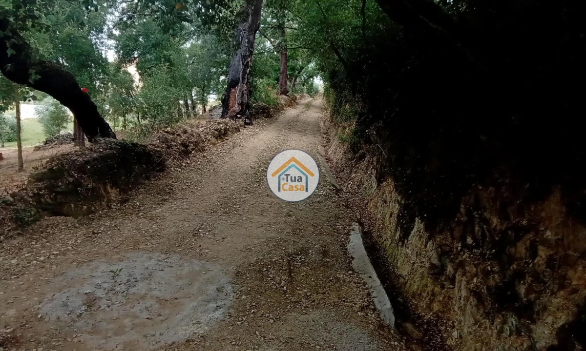 Terreno para Venda em Oliveira do Mondego e Travanca do Mondego Foto 8