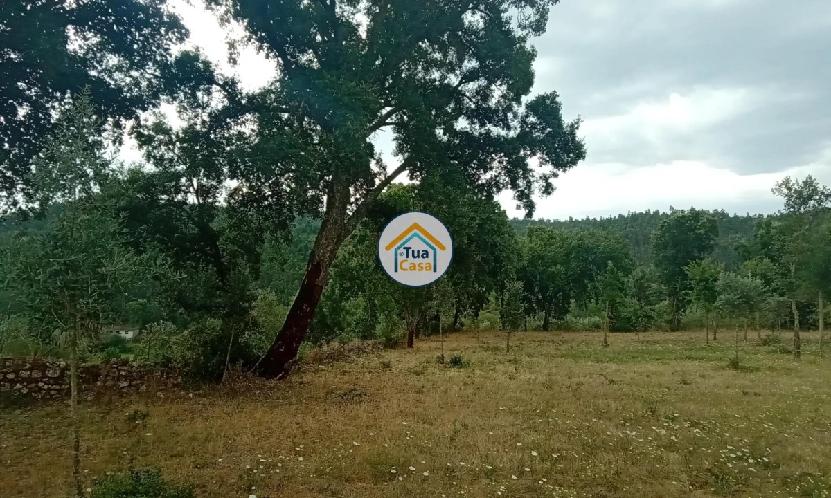 Terreno para Venda em Oliveira do Mondego e Travanca do Mondego Foto 19