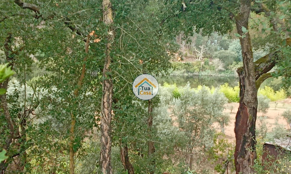 Terreno para Venda em Oliveira do Mondego e Travanca do Mondego Foto 11