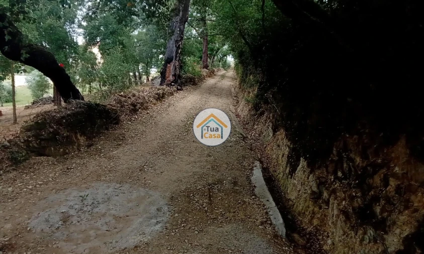 Terreno para Venda em Oliveira do Mondego e Travanca do Mondego Foto 8