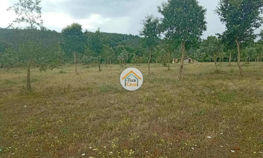Terreno para Venda em Oliveira do Mondego e Travanca do Mondego Foto 21