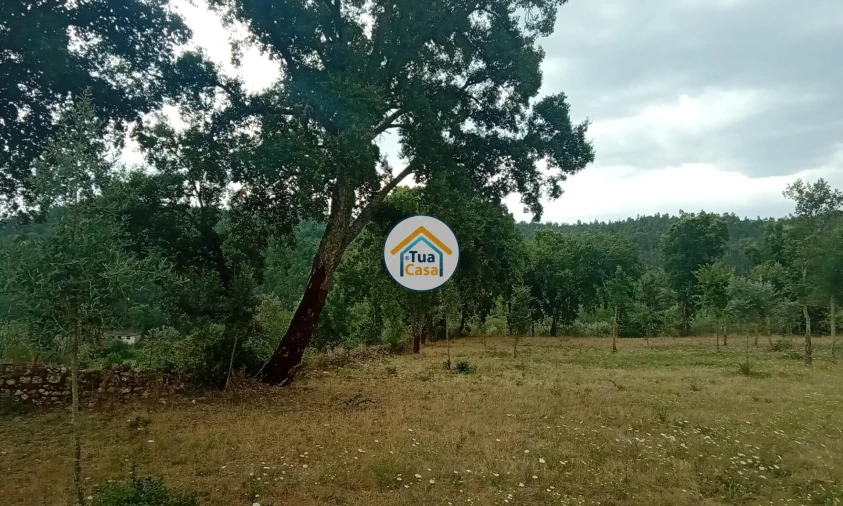 Terreno para Venda em Oliveira do Mondego e Travanca do Mondego Foto 19