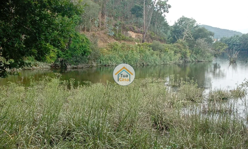 Terreno para Venda em Oliveira do Mondego e Travanca do Mondego Foto 3