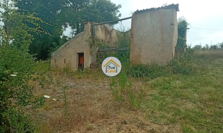 Terreno para Venda em Oliveira do Mondego e Travanca do Mondego Foto 31