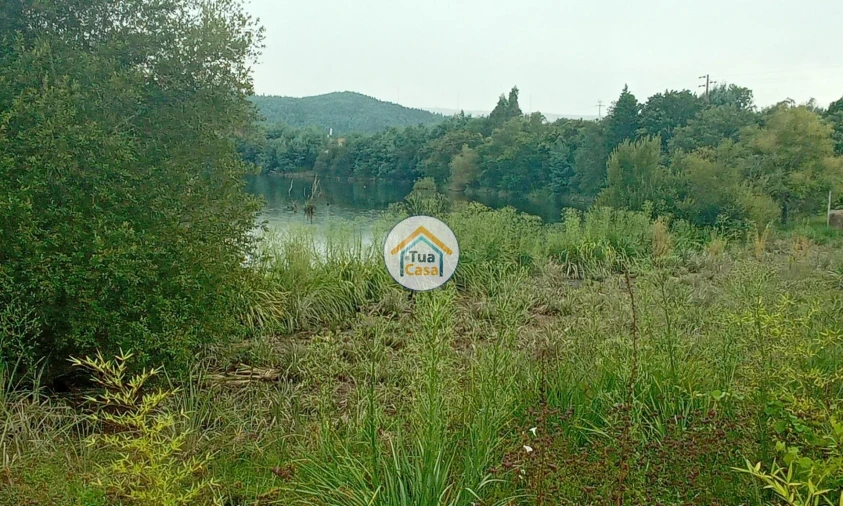 Terreno para Venda em Oliveira do Mondego e Travanca do Mondego Foto 5