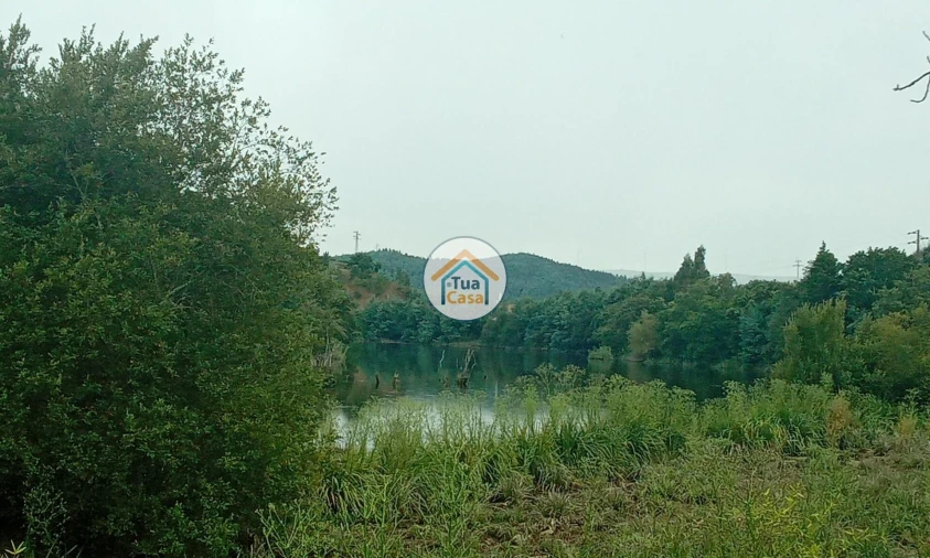 Terreno para Venda em Oliveira do Mondego e Travanca do Mondego Foto 6