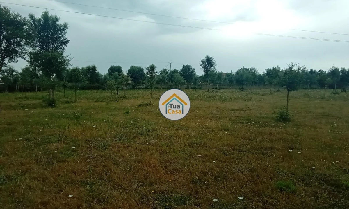 Terreno para Venda em Oliveira do Mondego e Travanca do Mondego Foto 24