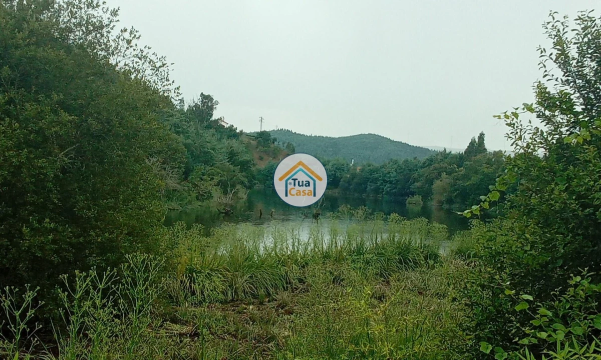 Terreno para Venda em Oliveira do Mondego e Travanca do Mondego Foto 4
