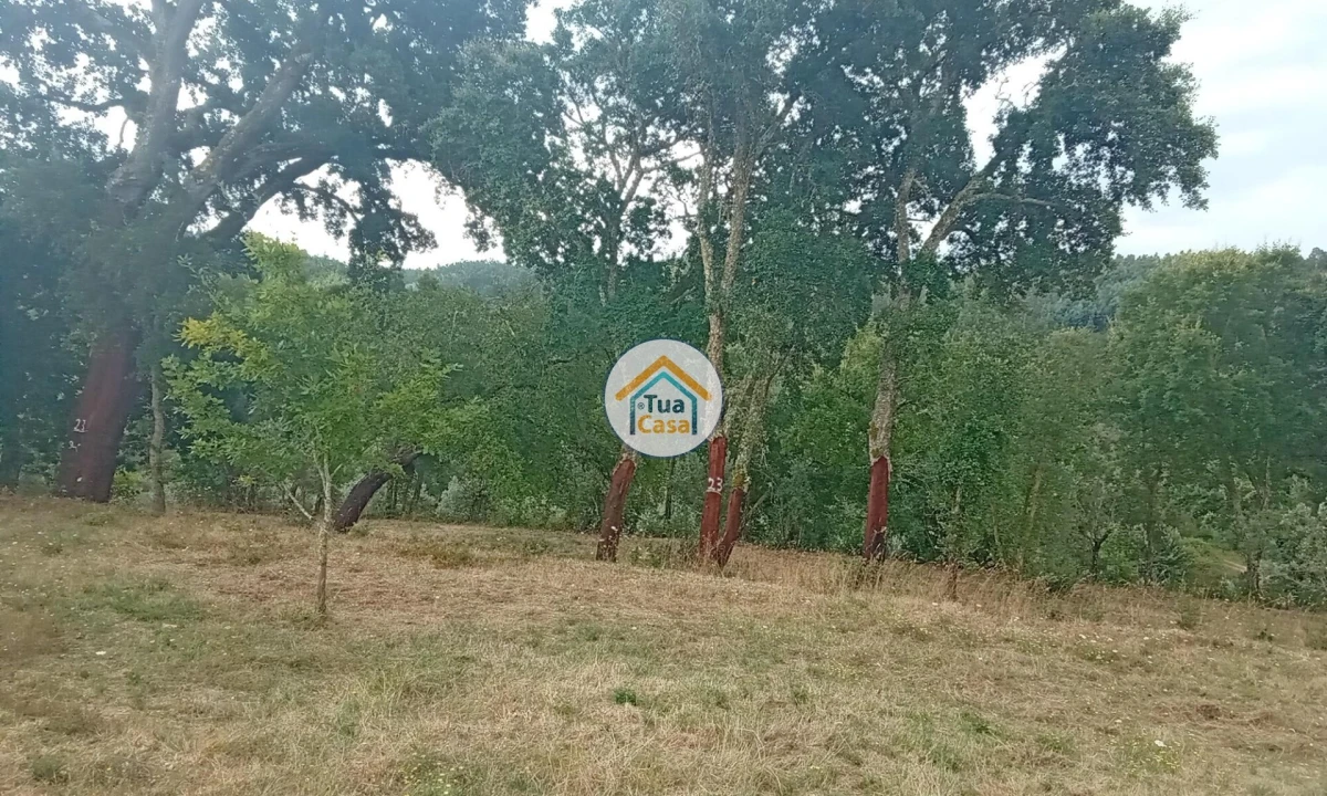 Terreno para Venda em Oliveira do Mondego e Travanca do Mondego Foto 17