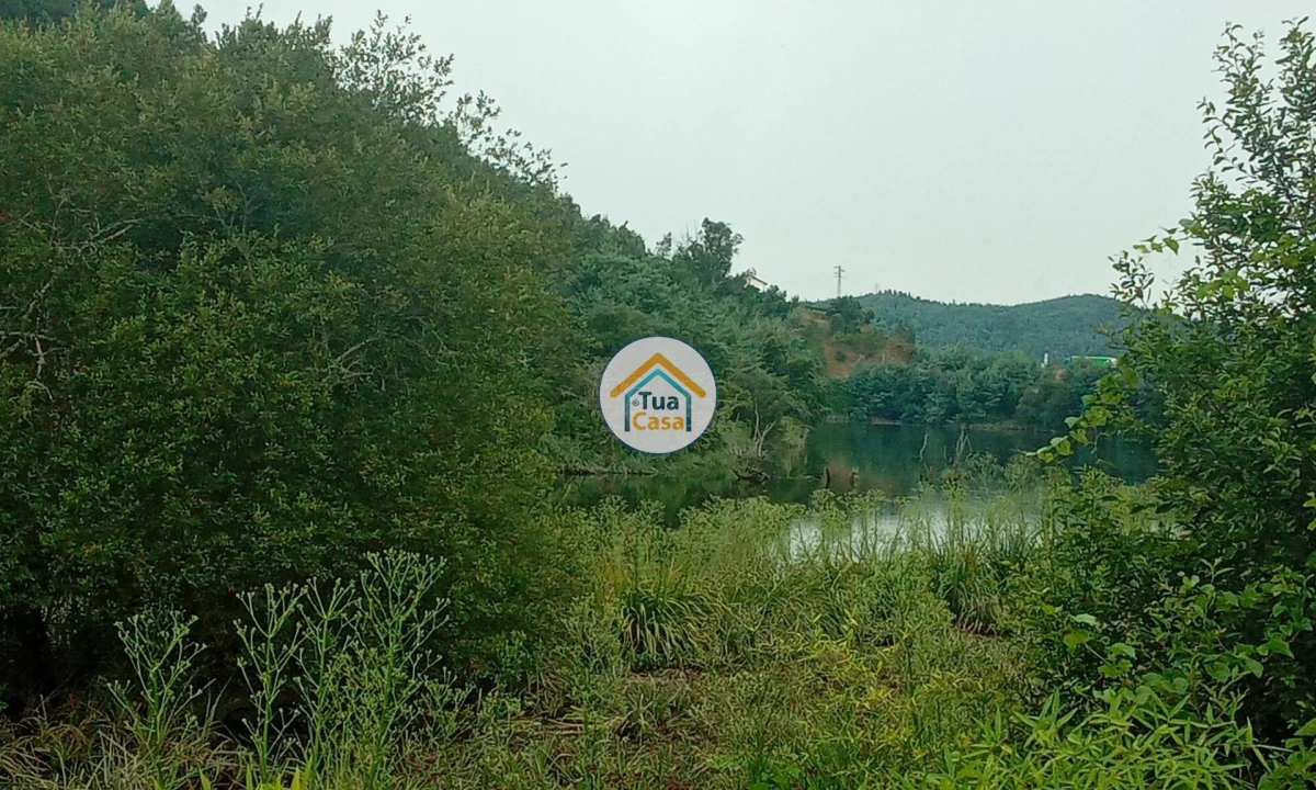 Terreno para Venda em Oliveira do Mondego e Travanca do Mondego Foto 7